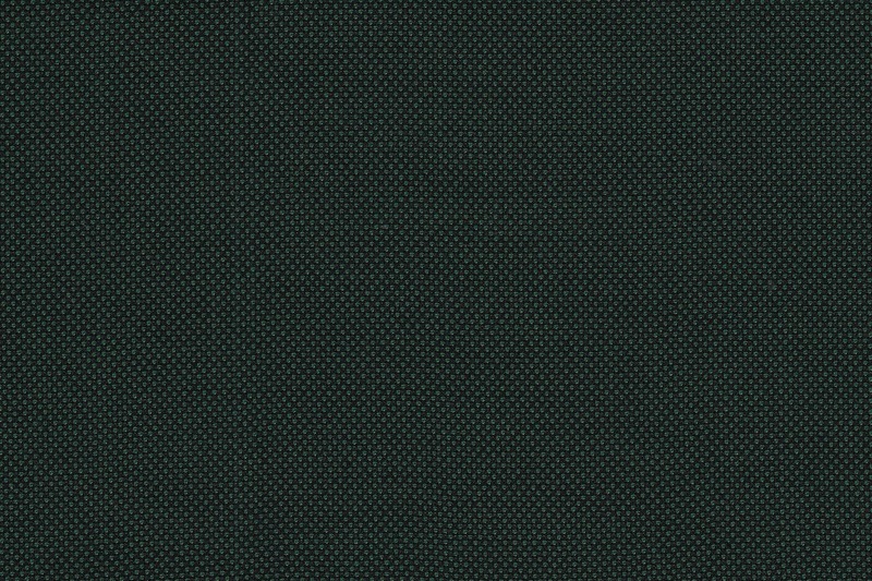 J 2199050 GREEN BIRDSEYE J 2199050 GREEN BIRDSEYE