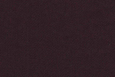 J 2199051 RED BIRDSEYE