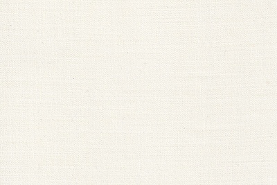 J 2199071 IVORY SHARKSKIN